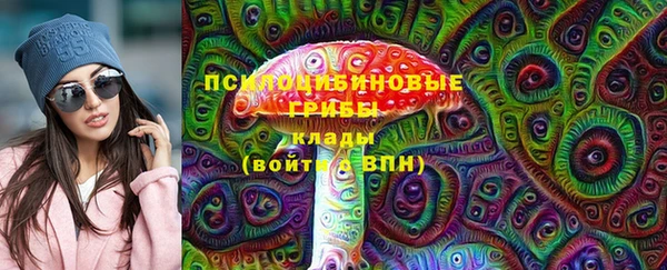 тгк Володарск