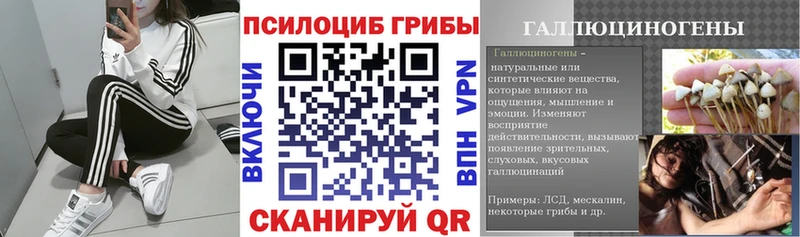 Галлюциногенные грибы MAGIC MUSHROOMS  Новоржев 