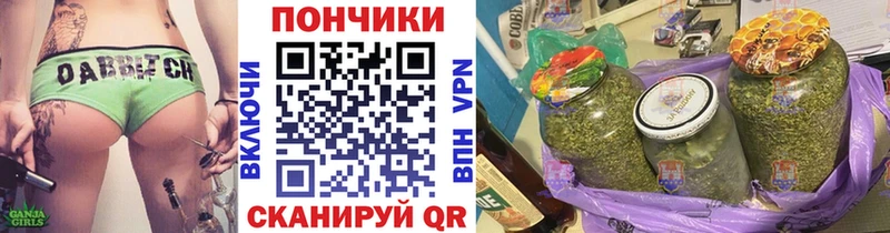 блэк спрут как зайти  Новоржев  Каннабис AK-47 